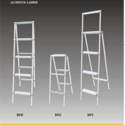 Aluminum Ladder